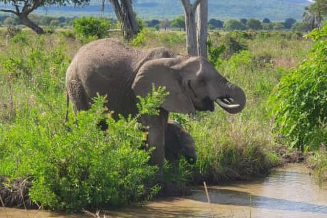 4 Days 3 Nights Selous (Nyerere national park) & Mikumi Adventure - Key points to know before booking