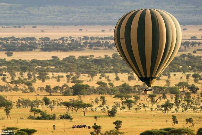 4 days Join Group safari in Serengeti, Ngorongoro and Lake Manyara National Park - Meals, camping gear, and comfort