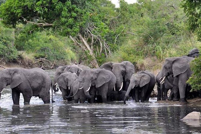 4 Days Joined Group Safari Serengeti,Ngorongoro and Tarangire National Parks - What the shared 4WD setup is really like