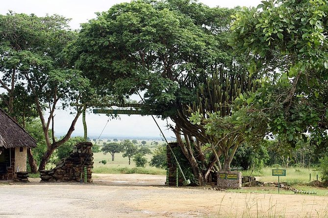 4 Days Mikumi & Udzungwa National Parks Safari - Why this safari works so well from Dar es Salaam