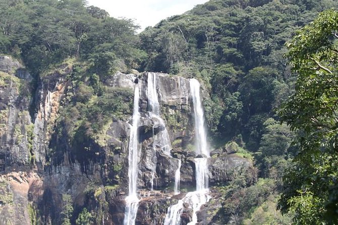 4 Days Mikumi & Udzungwa National Parks Safari - Day four: sunrise wildlife, Maasani boma, and the long return