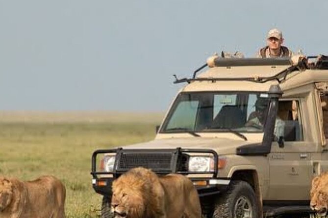 4 Days Private Arusha National Park, Serengeti, Ngorongoro Tour - A fast route through Tanzania’s best-known wildlife areas