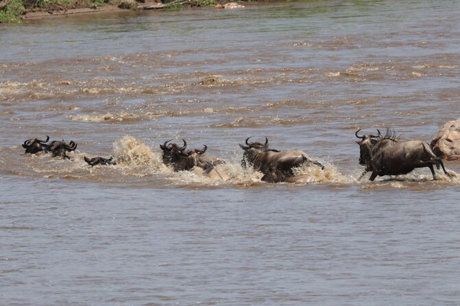 4 Days Private Arusha National Park, Serengeti, Ngorongoro Tour - Day 4: Five hours on the Ngorongoro Crater floor