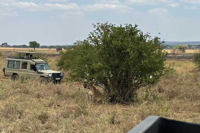 4 Days Private Arusha National Park, Serengeti, Ngorongoro Tour - Meals, lodging, and what is included