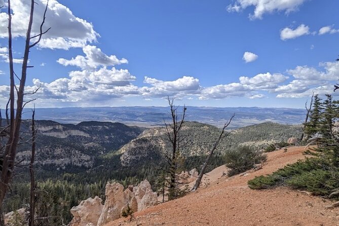 4-Hour, 5-seat ATV Rental next to Bryce National Park - Who will get the most from the $487.72 price
