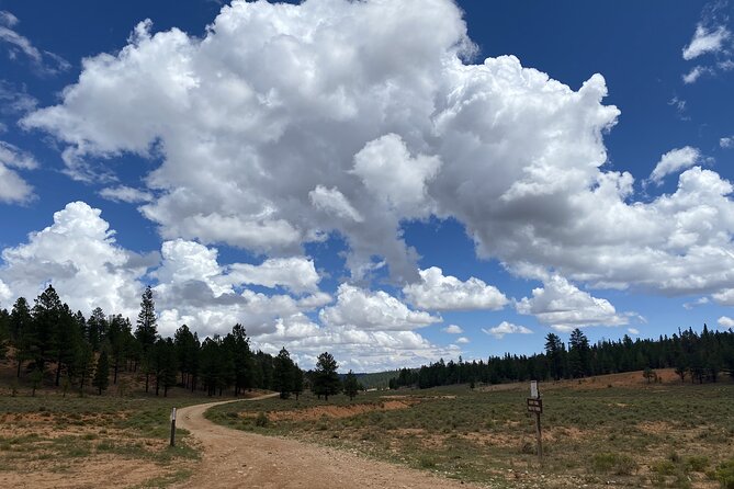 4-Hour, 5-seat ATV Rental next to Bryce National Park - Comfort, access, and who should think twice