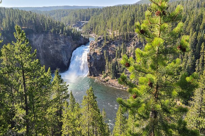5-day In-Depth Yellowstone and Grand Teton National Park Tour - Day three: Old Faithful, Grand Prismatic, and the Grand Canyon