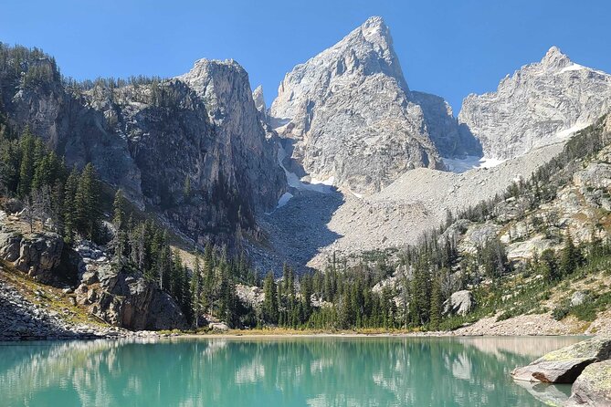 5-day In-Depth Yellowstone and Grand Teton National Park Tour - Day four: a quieter day with an optional wildlife center
