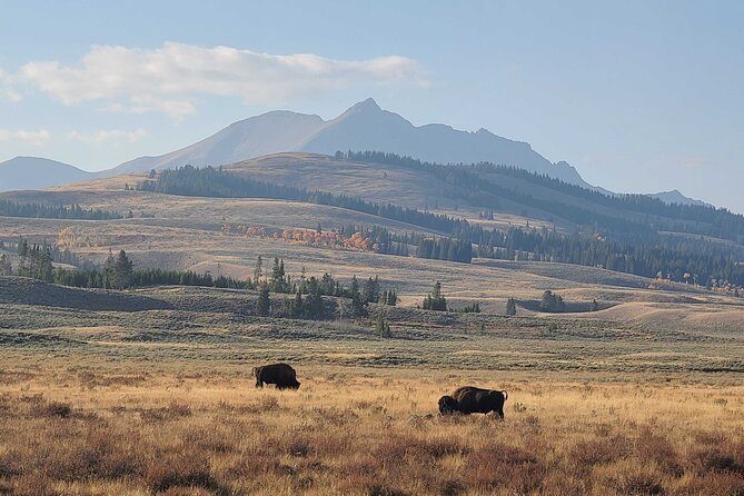 5-day In-Depth Yellowstone and Grand Teton National Park Tour - The small group and the daily pace