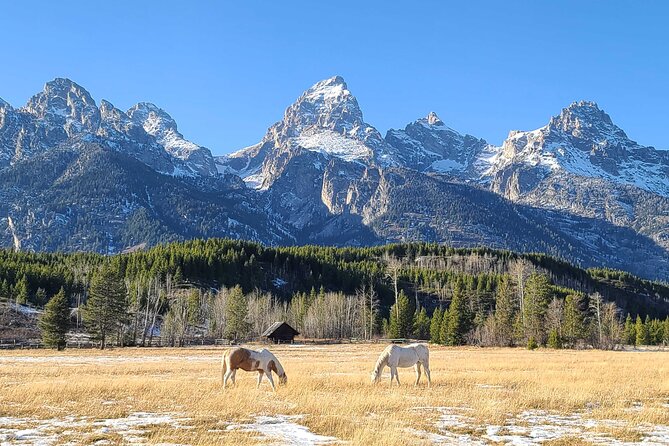 5-day In-Depth Yellowstone and Grand Teton National Park Tour - Day one: Norris Geyser Basin and Mammoth Hot Springs