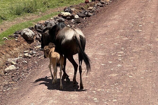 5 Days of Wilderness Ride - Riding Tanzania’s backcountry from Arusha