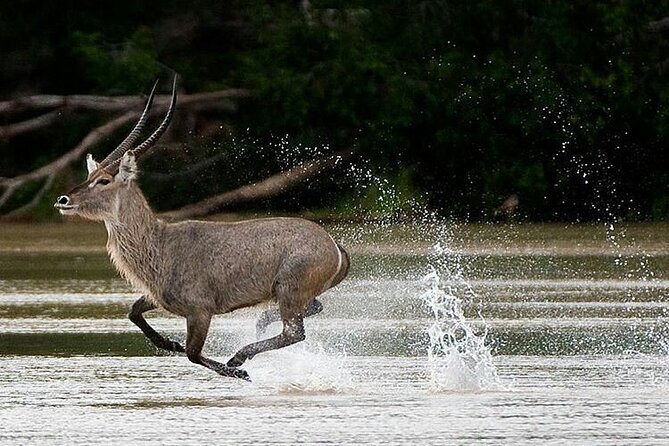 5-Days Selous Game Reserve and Mikumi National Park Tour - Why this southern Tanzania route is different