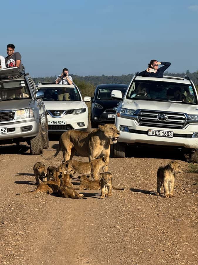 5-Hour Nairobi National Park 4x4 Safari with Free Pickup - Key points to know before booking