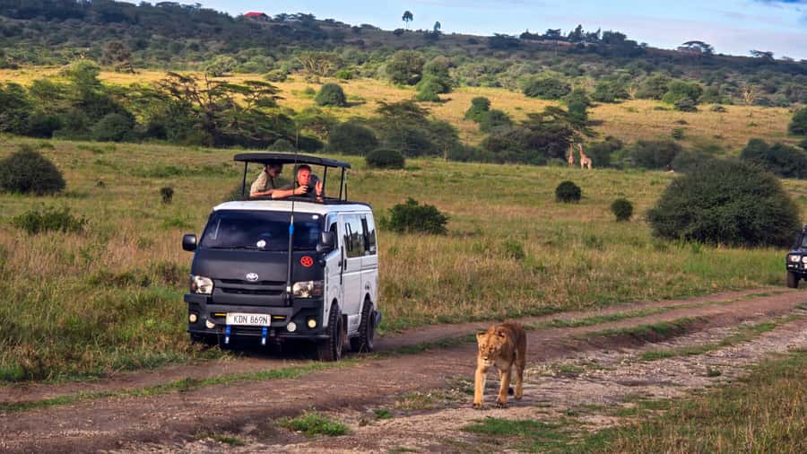 5-Hour Nairobi National Park 4x4 Safari with Free Pickup - Why Nairobi National Park works so well for a short safari