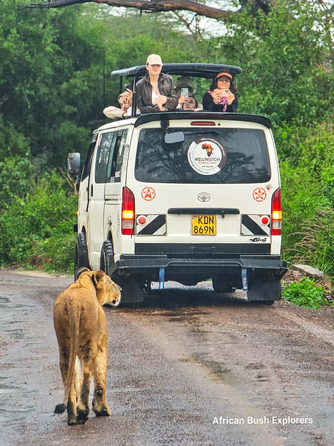 5-Hour Nairobi National Park 4x4 Safari with Free Pickup - Shared, small-group, or private: which format fits you?