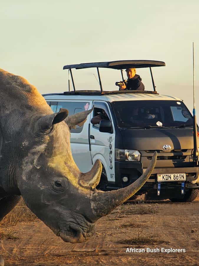 5-Hour Nairobi National Park 4x4 Safari with Free Pickup - What the five-hour outing is like