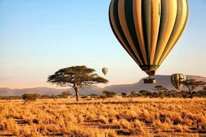 5days Tarangire,Serengeti,ngorongoro Crater and Lake Manyara National park - Day 1: Tarangire’s elephants and baobabs