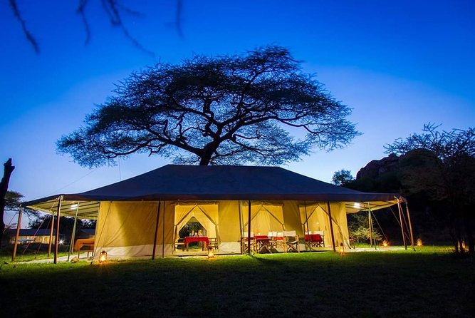 5days Tarangire,Serengeti,ngorongoro Crater and Lake Manyara National park - Day 5: Lake Manyara and the return to Arusha