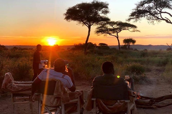 5days Tarangire,Serengeti,ngorongoro Crater and Lake Manyara National park - What the private vehicle changes