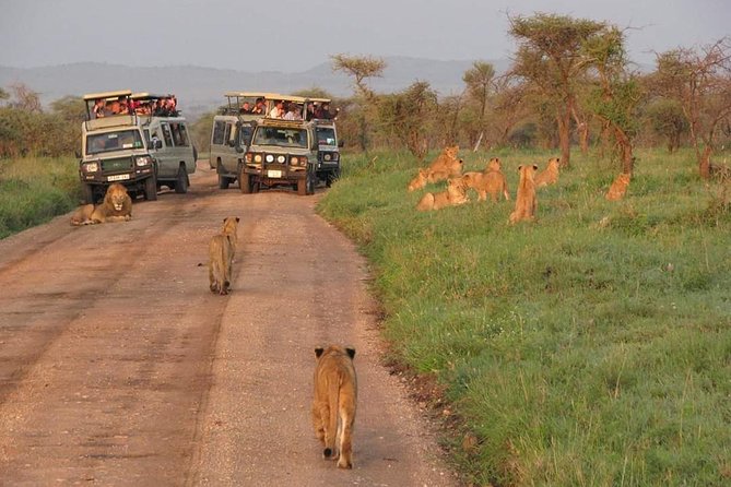 5days Tarangire,Serengeti,ngorongoro Crater and Lake Manyara National park - Tented camps, meals and comfort