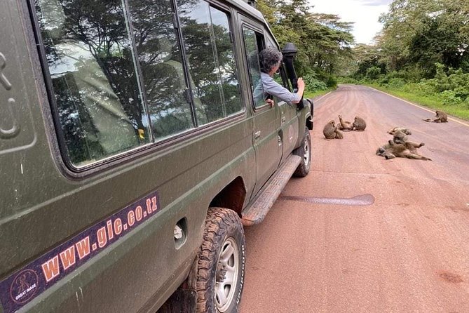 5days Tarangire,Serengeti,ngorongoro Crater and Lake Manyara National park - Day 3: A sunrise start in the Serengeti