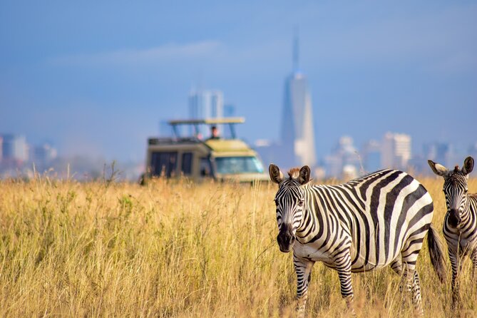 5Hrs Nairobi National Park MorningEvening gamedrive 4x4 vehicle - The Ivory Burning Site adds conservation context