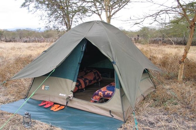 6-Day Tanzania Camping Safari: Lake Manyara, Serengeti, Ngorongoro Cater and Tarangire National Park from Arusha - Day 4: A final Serengeti drive before Ngorongoro