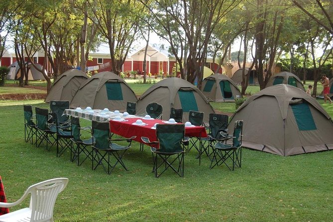 6-Day Tanzania Camping Safari: Lake Manyara, Serengeti, Ngorongoro Cater and Tarangire National Park from Arusha - Camping keeps the $2,675 price useful
