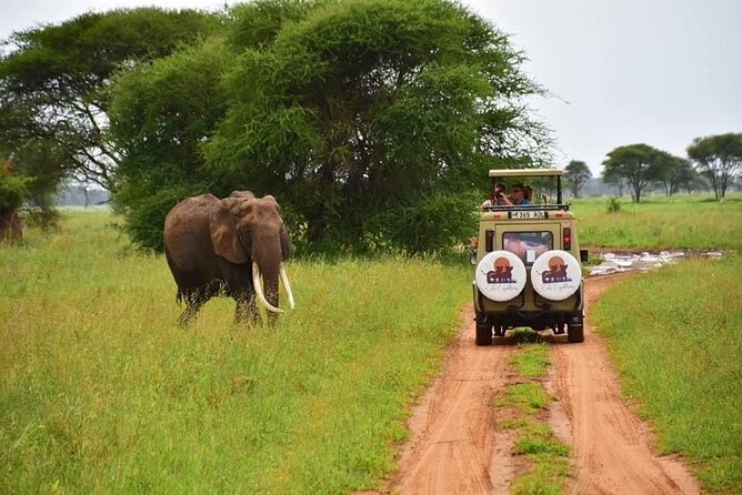 6 days 5 nights safari Ngorongoro, Serengeti and Tarangire National Parks - What the $2,560 price really covers