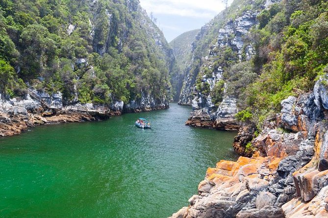 7-day Cape Town, Winelands, Garden Route and Addo National Park - Key things to know before booking