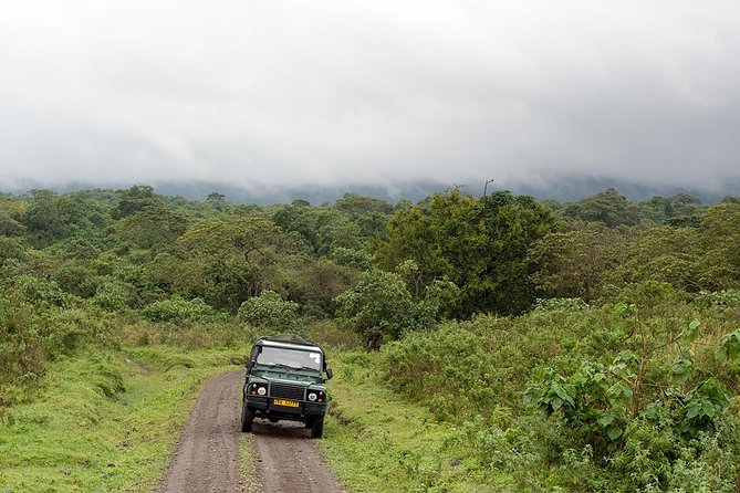 7 Day Joined Safari Serengeti,Ngorongoro,Manyara,Tarangire,Arusha National Park - Day 3: The long road into the Serengeti