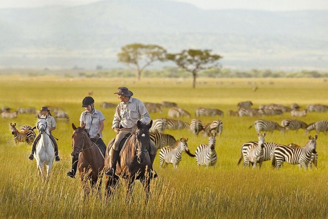 7 Day Joined Safari Serengeti,Ngorongoro,Manyara,Tarangire,Arusha National Park - Day 4: Sunrise is the best reason to stay in Serengeti