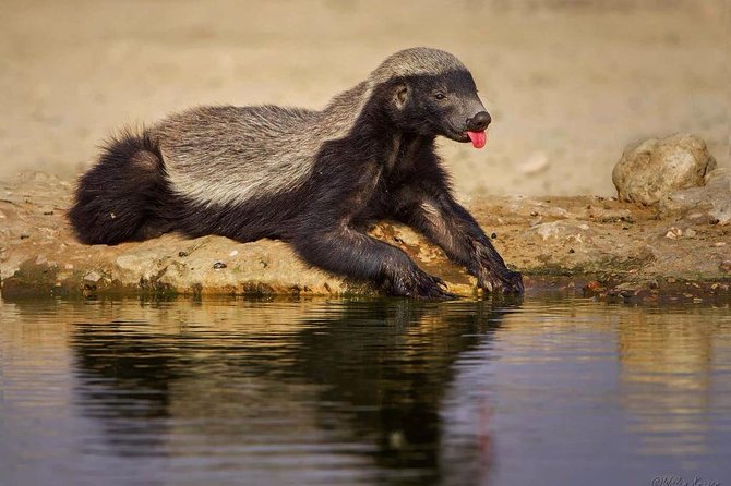 7 Day Joined Safari Serengeti,Ngorongoro,Manyara,Tarangire,Arusha National Park - Day 7: Arusha National Park adds walking and water