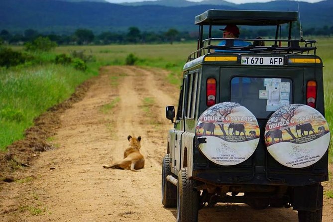 7 Day Safari To Selous, Mikumi and Ruaha National Parks + transfers - Day 1: Dar es Salaam to Selous and the Rufiji River