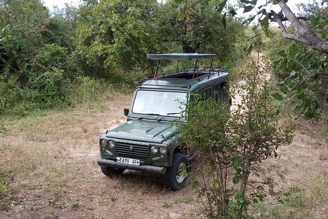 7 Day Safari To Selous, Mikumi and Ruaha National Parks + transfers - Day 2: A full day in Selous Game Reserve