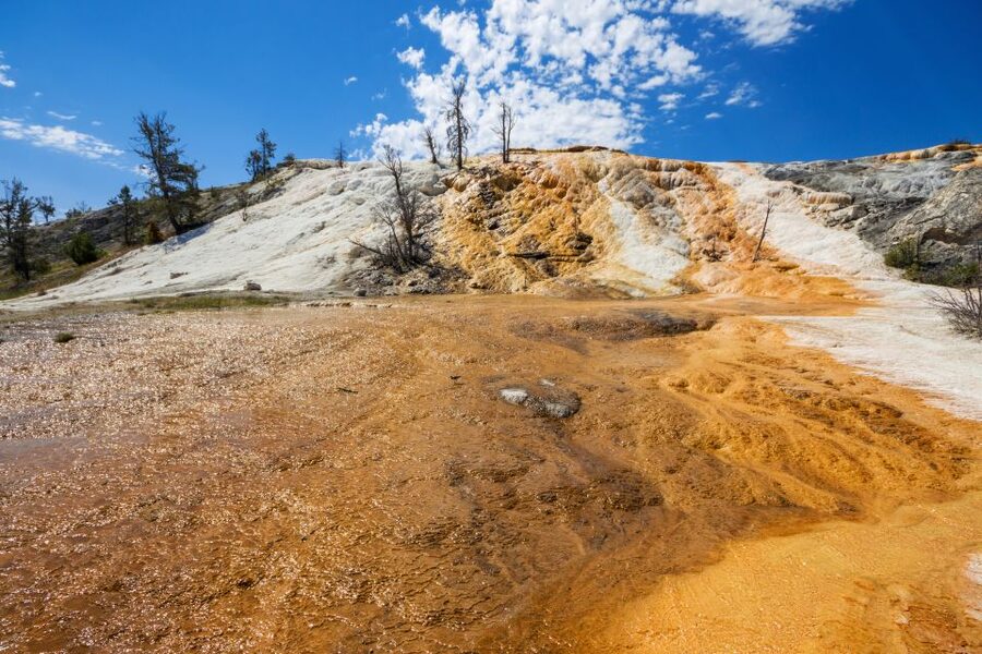 7-Day Yellowstone National Park Rocky Mountain Explorer - What the $1,895 price really covers