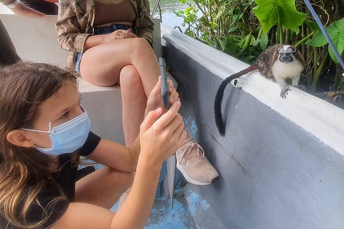 7 Hours Monkey Island and Nature Walk at Soberania National Park - What the guides add to the day
