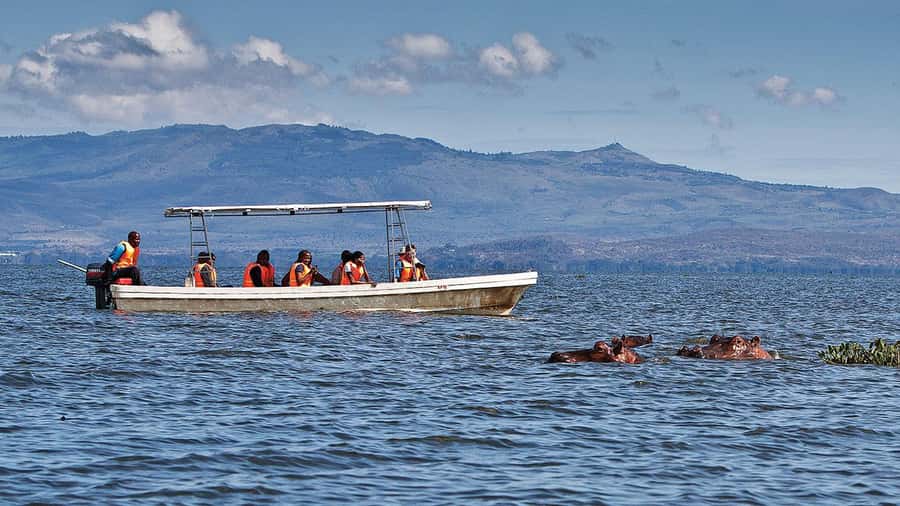 A day tour; Lake Nakuru national park& L. Naivasha Boat ride - Key points at a glance