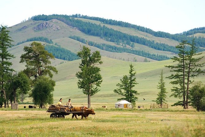 A day trip to Terelj National Park and Statue of Chinggis Khan - Why this is one of Ulaanbaatar’s best day trips