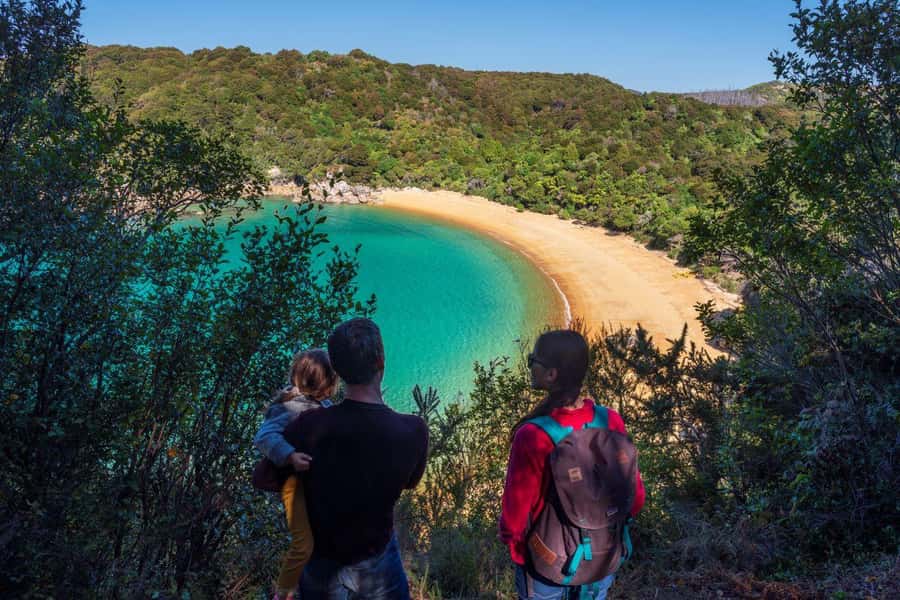 Abel Tasman National Park: Cruise and Hike Full-Day Tour - From Nelson to Kaiteriteri by comfortable transfer