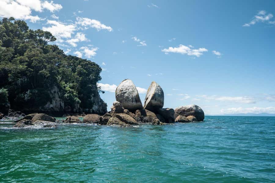 Abel Tasman National Park: Cruise and Hike Full-Day Tour - Six hours among forest, beaches, and native birds