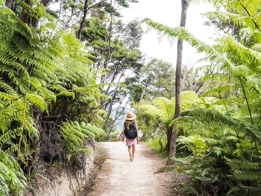 Abel Tasman National Park: Cruise and Hike Full-Day Tour - Picnic lunch, snacks, and time to swim