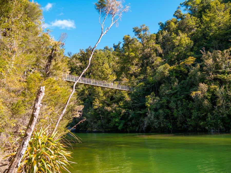 Abel Tasman National Park: Cruise and Hike Full-Day Tour - Group size, pace, and physical demands