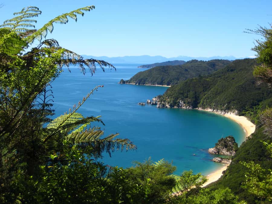 Abel Tasman National Park: Cruise and Hike Full-Day Tour - Who will get the most from this day?