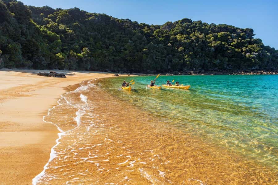 Abel Tasman National Park: Cruise, Kayak, & Hike Tour - Walking the coastal track to Anchorage