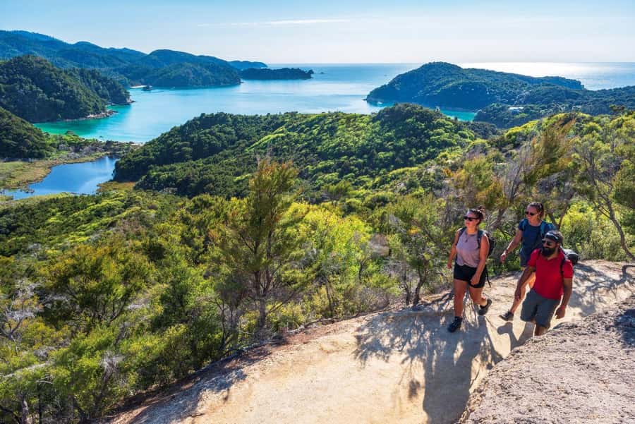 Abel Tasman National Park: Cruise, Kayak, & Hike Tour - What the $417 price includes