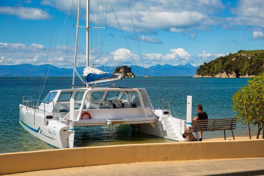 Abel Tasman National Park: Day Sailing Adventure with Lunch - The return sail and the role of the weather