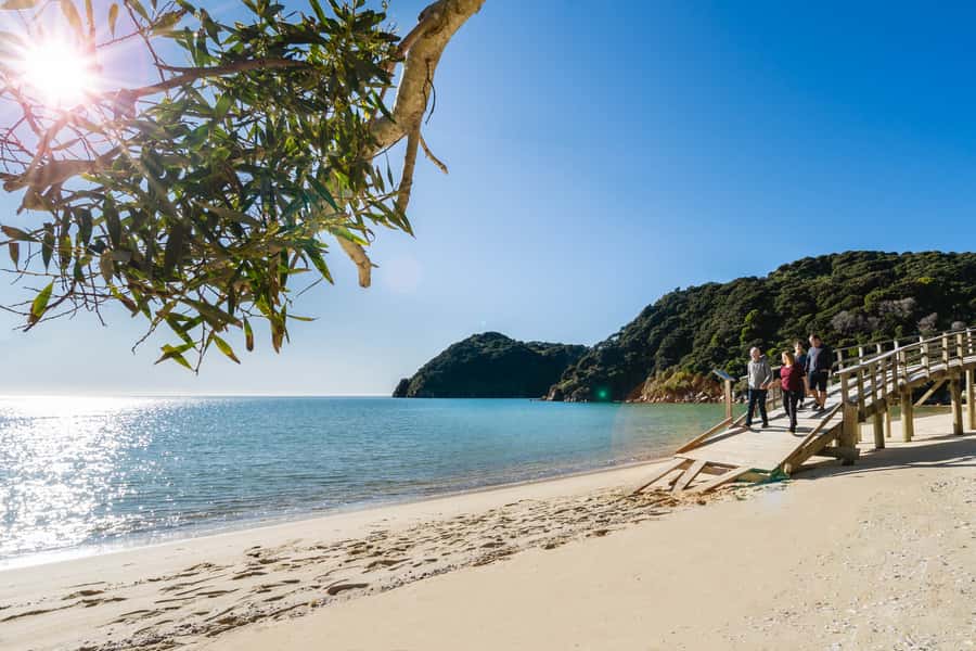Abel Tasman National Park: Helicopter Flight with landing - Flying from Nelson Airport toward Abel Tasman