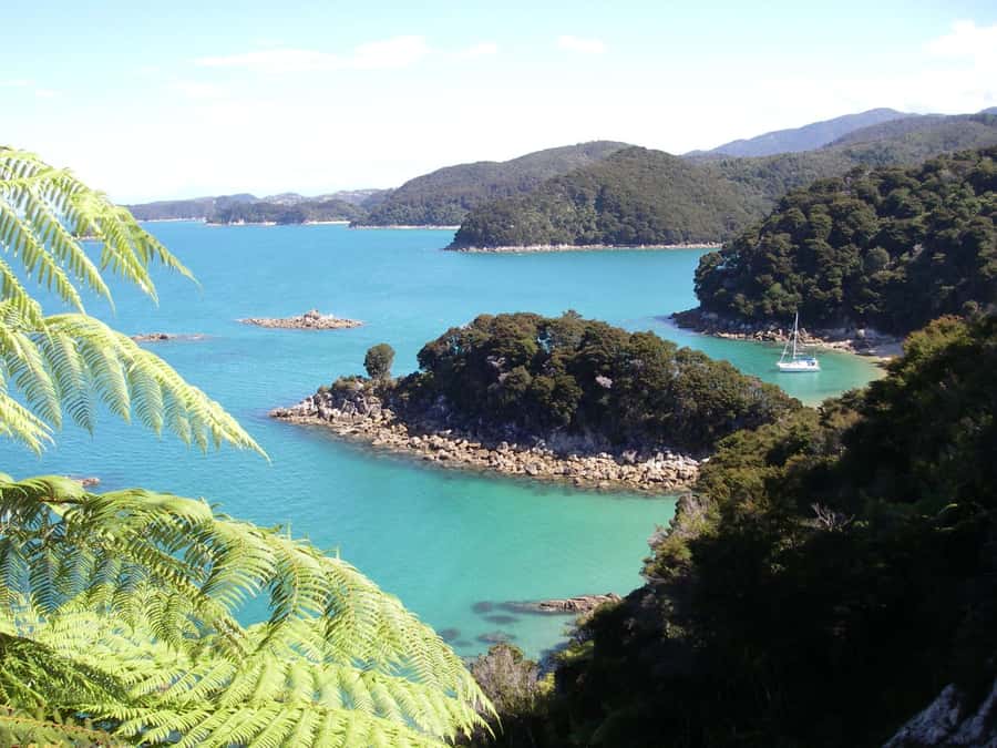 Abel Tasman National Park: Sailing and Self-Guided Walk - Why the sailing and walking combination works