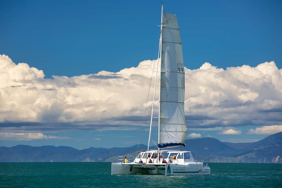 Abel Tasman National Park: Self-Guided Walk & Sailing - What to pack for a comfortable day